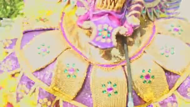 Man in colorful carnival costume pose for photo at traditional dominican annual event — Stock Video