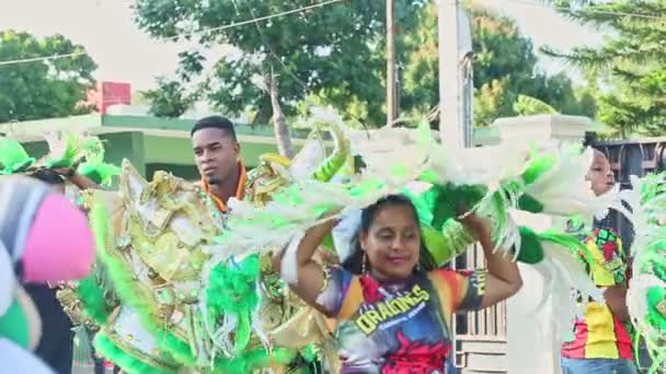 Gente en trajes coloridos del carnaval camina en la calle dominicana de la ciudad en el acontecimiento anual — Vídeos de Stock