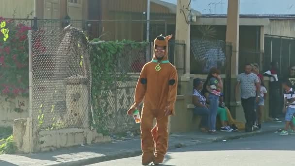 Concepcion Vega Dominican Republic February 2019 Man Scooby Doo Costume — стоковое видео