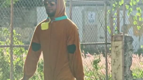 Concepcion Vega République Dominicaine Février 2019 Homme Costume Scooby Doo — Video