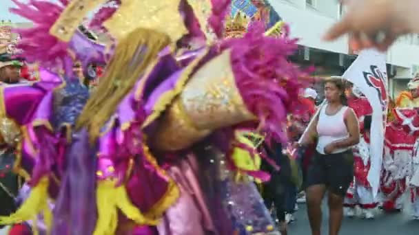 Concepción Vega República Dominicana Febrero 2019 Hombres Colorido Disfraz Carnaval — Vídeos de Stock