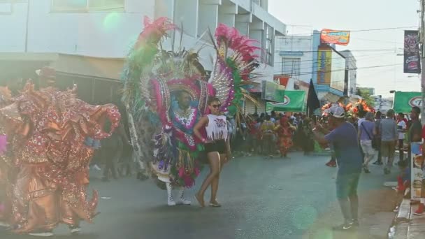 Concepcion Vega Δομινικανή Δημοκρατία Φεβρουαρίου 2019 Πολίτες Της Δομινικανής Δημοκρατίας — Αρχείο Βίντεο