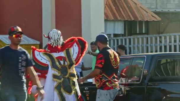 Concepcion Vega Dominikánská Republika Února 2019 Mladík Karnevalovém Kostýmu Velkým — Stock video