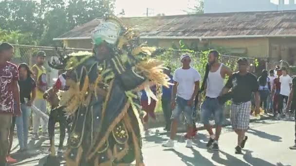 Concepcion Vega Dominikánská Republika Února 2019 Rodák Originálním Karnevalovém Kostýmu — Stock video