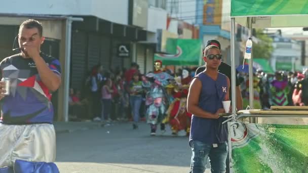 Concepcion Vega République Dominicaine Février 2019 Des Dominicains Costumes Carnaval — Video