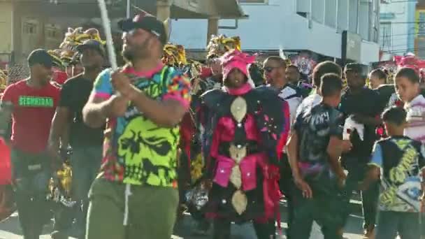 ドミニカ共和国のコンセプト 2019年2月24日 様々なカーニバルの衣装を着たドミニカ人が2月24日に毎年恒例のパレードで街を歩くコンセプト — ストック動画