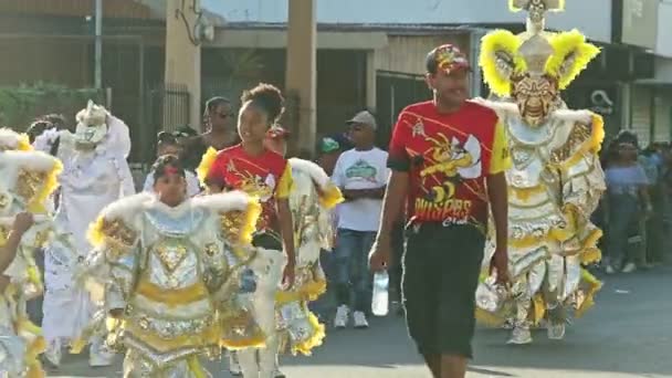 Concepción Vega República Dominicana Febrero 2019 Los Dominicanos Trajes Carnaval — Vídeos de Stock