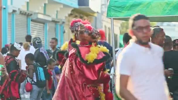 Concepcion Vega Dominican Republic February 2019 People Varied Bright Costumes — Stock Video