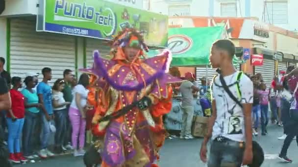 Concepcion Vega Dominican Republic February 2019 Dominican Citizen Vivid Costume — Stock Video