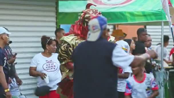 Concepcion Vega Dominican Republic February 2019 Dominicans Varied Carnival Costumes — 비디오