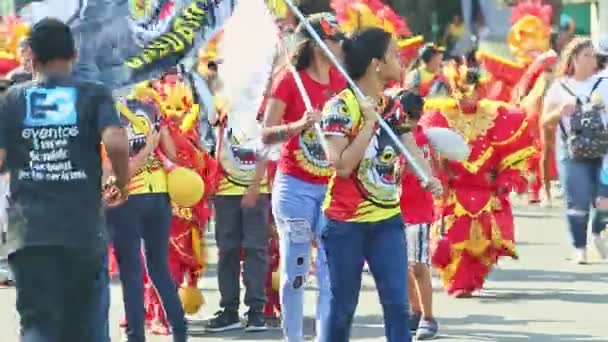 Mensen in gekleurde carnaval kostuums lopen op dominicaanse stad straat op jaarlijkse parade — Stockvideo