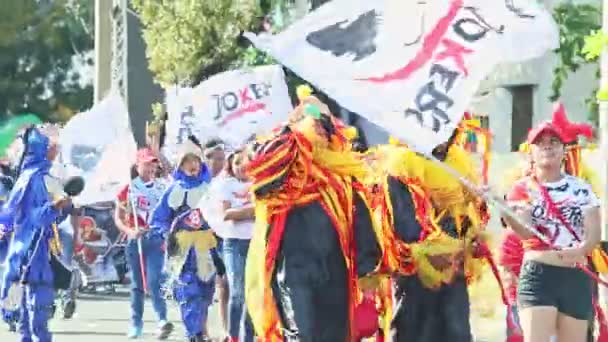 People in various carnival costumes walk on dominican city street at annual parade — 비디오