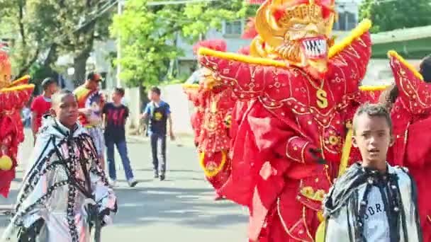 Muži v okázalých karnevalových kostýmech chodí po dominikánské městské ulici na každoročním průvodu — Stock video