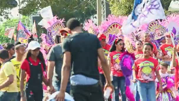 People in variegated carnival costumes walk on dominican city street at annual parade — Stock Video