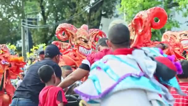Zoom uit van dominicaanse burgers maak foto 's met personen in carnaval kostuums — Stockvideo