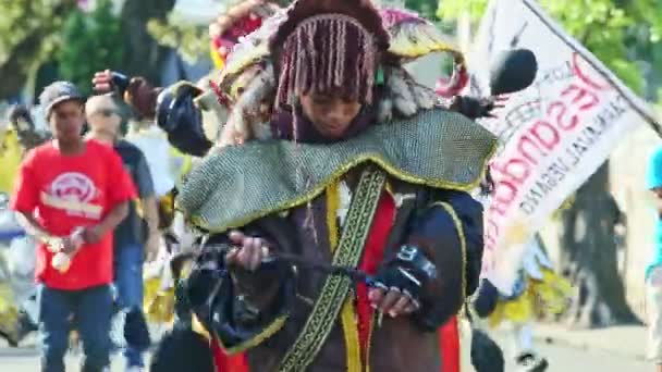 Citizens in manifold carnival costumes walk on dominican city street at annual parade — Stock Video