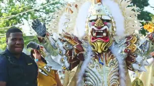 Closeup men in lion demon costumes pose for photo on street at dominican carnival — Stock Video