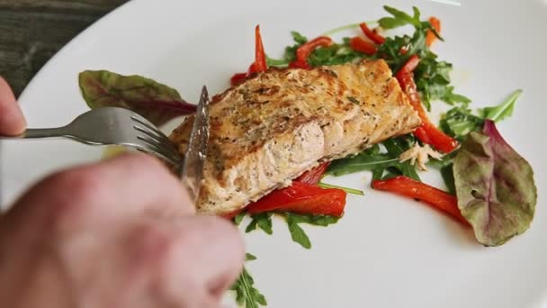 Closeup human hands cut grilled salmon fillet with fork and knife — Stock Video