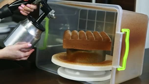 Process för att täcka med flytande choklad modern form fruktig cheesecake — Stockvideo