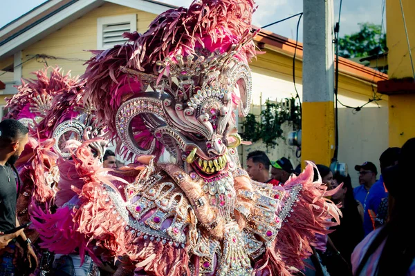 Concepcion Vega Repubblica Dominicana Febbraio 2020 Primo Piano Uomo Costume — Foto Stock