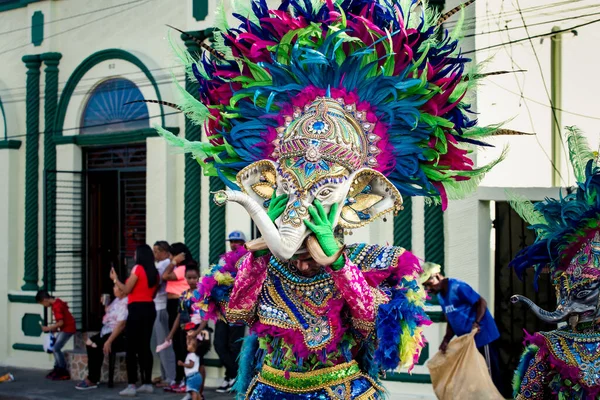 康塞普西翁德拉维加 多米尼加共和国 2020年2月9日 在康塞普西翁德拉维加举行的多米尼加狂欢节上 土生土长的男子戴着浓重的彩色大象面具出现在城市街道上 — 图库照片