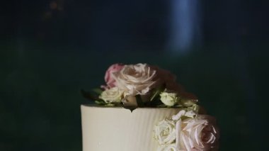 Güzel düğün pastasına pembe güllerle yakın plan panorama