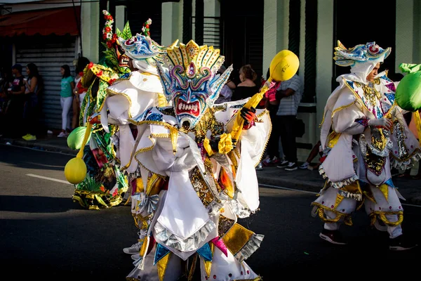 Concepcion Vega Dominican Republic February 2020 Adult Person Sparkling Costume — стокове фото