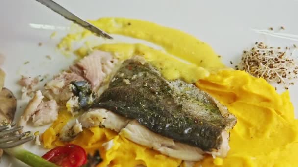 Mains fermées emporter à la fourchette et couteau petit morceau de filet de poisson grillé — Video