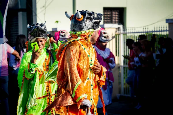 Concepcion Vega Dominicaanse Republiek Februari 2020 Personen Geverfde Kostuums Passeren — Stockfoto