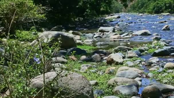 Panorama lento en la corriente ancha del río de la montaña del agua con los rápidos grandes de piedra — Vídeos de Stock
