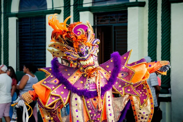 Concepcion Vega República Dominicana Febrero 2020 Persona Traje Extravagante Posa — Foto de Stock