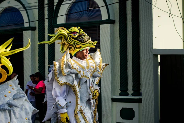 康塞普西翁德拉维加 多米尼加共和国 2020年2月9日 2月9日在康塞普西翁德拉维加举行的多米尼加狂欢节上 身穿闪亮化装舞会服装的成年男子走过城市街道 — 图库照片
