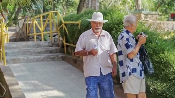 Двое серых стариков ходят по парку и улыбаются. — стоковое видео