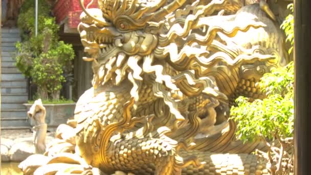 Golden Sacred Dragon Statue by Plant in Buddhist Temple — стокове відео