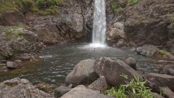 Jongens zwemmen bij High Waterfall in River in Tropical Park — Stockvideo