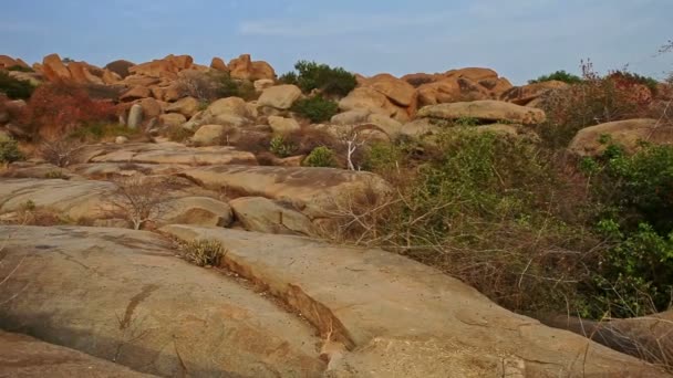 Vista panorámica del valle rocoso con piedras amarillas y arbustos — Vídeos de Stock