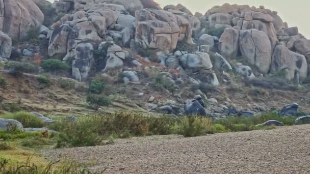 Panoramisch uitzicht op vallei met grote stenen tegen steile rotsen — Stockvideo