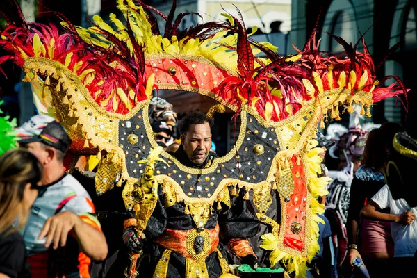 Concepcion Vega Dominican Republic February 2020 Person Unusual Masquerade Costume — Stock Photo, Image