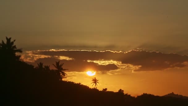 Matahari kuning terbenam di belakang awan dan pohon palem siluet di pantai laut — Stok Video