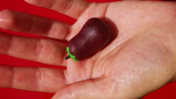 Top view closeup woman hand shows homemade marzipan eggplant shaped candy — Stockvideo