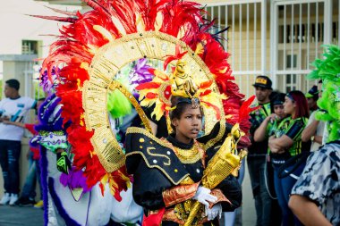Concepcion De La Vega, DOMINICAN REPUBLIC - FEBRUARY 09, 2020: Renkli kostümlü genç kız 9 Şubat 'ta Concepcion De La Vega' da Dominik karnavalında şehir caddesinde yürüyor