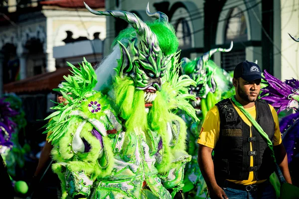 康塞普西翁 德拉维加 明尼苏达州 2020年2月9日 身着绿色化装舞会服装的原住民在康塞普西翁 德拉维加的多米尼加狂欢节街上漫步 — 图库照片