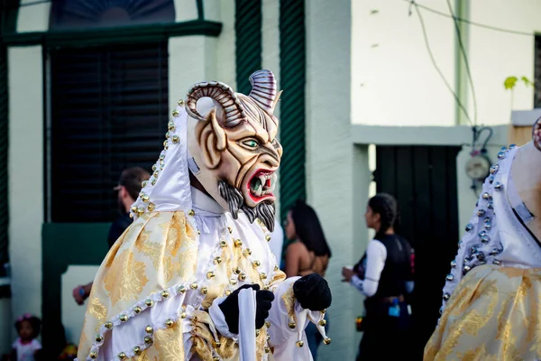 Concepcion Vega Dominican Republic February 2020 Closeup Man Carnival Passes — стокове фото