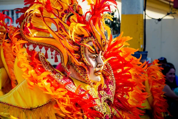 Concepcion Vega Dominican Republic February 2020 Closeup Person Flamboarant Comstume — стокове фото