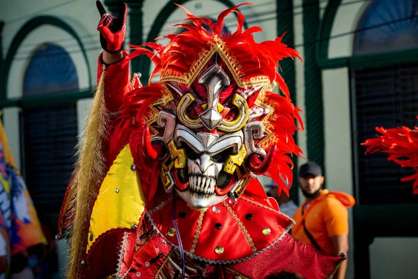 Concepcion Vega Dominican Republic February 2020 Closeup Man Vivid Carnival — стокове фото