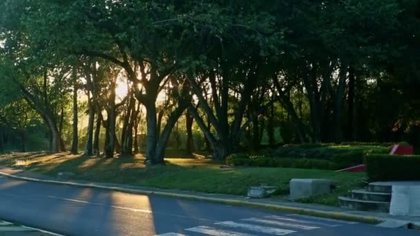Luzes brilhantes do pôr do sol brilham através de ramos de árvores tropicais silhuetas — Vídeo de Stock