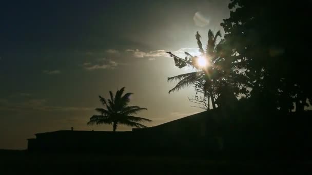 Closeup forte vento treme silhuetas folha de coco palmeira com luz solar brilhante — Vídeo de Stock