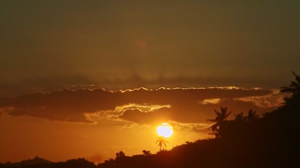 Большое желтое солнце садится за облака и пальмы силуэты на берегу моря — стоковое видео