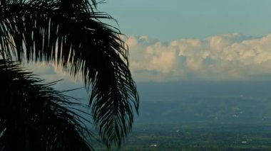 Yakından esen rüzgar, dağların tepesinde kabarık bulutlara karşı büyük palmiye yapraklarını sallıyor.