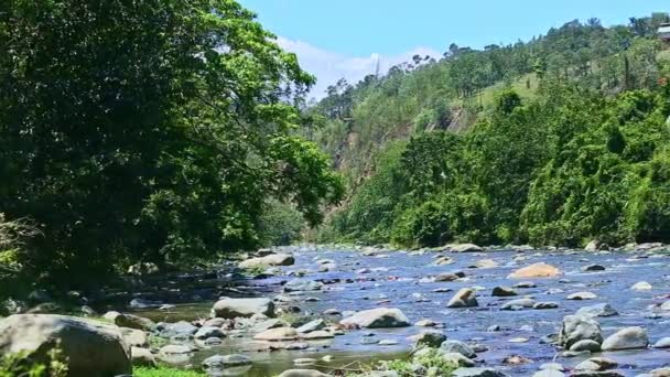 Panorama lento a la derecha en la corriente ancha del río de montaña con grandes rápidos de piedra — Vídeos de Stock